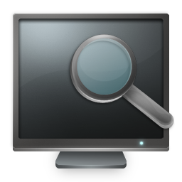 Search Computer Icon 256x256 png